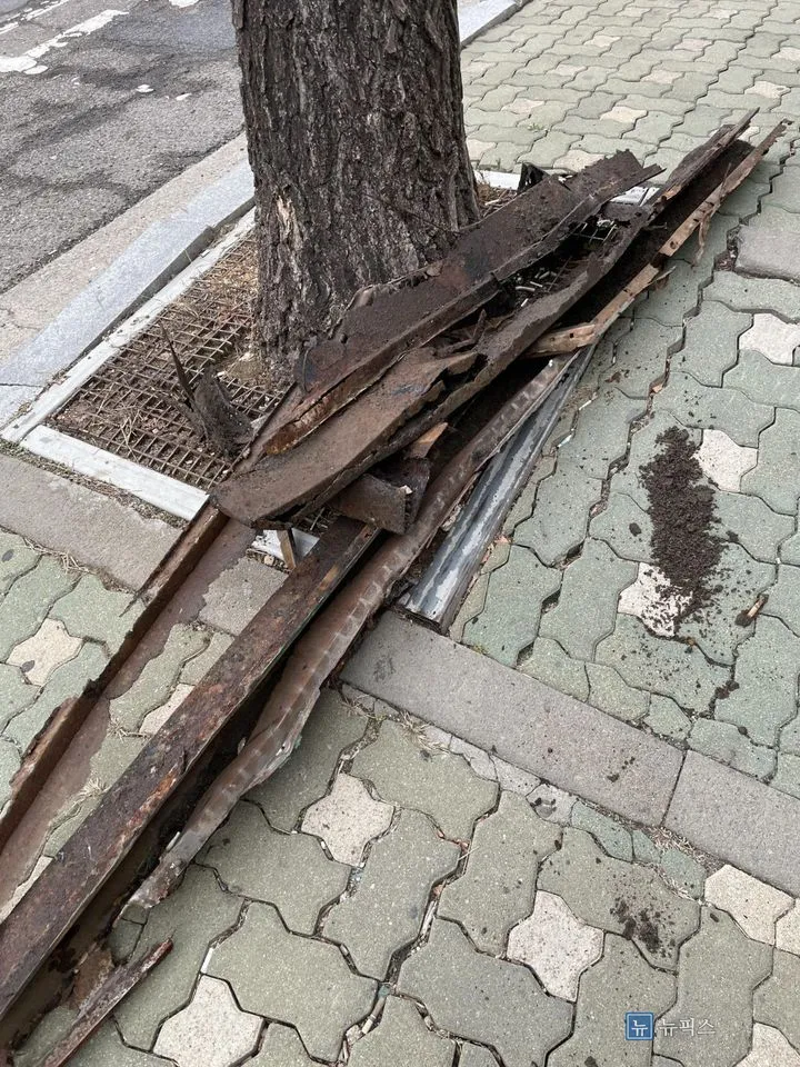 보도에 꺼내 놓은 부식되고 휘어진 기존 트렌치 자재