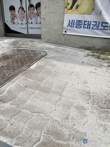 보도블럭을 다시 깔고 중사모래를 뿌려 마무리한 인도