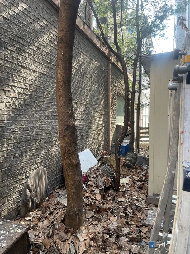 벽돌 외벽과 건물 사이 좁은 공간에 나무가 서 있고 바닥에 낙엽이 쌓인 작업 전 모습