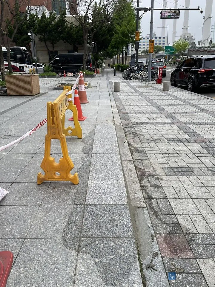양생을 위해 통행을 막아둔 보도 전경