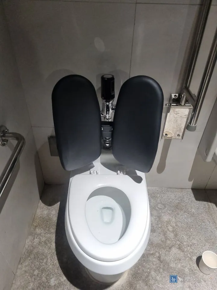 새로 설치한 검정 쿠션형 변기 등받이 정면